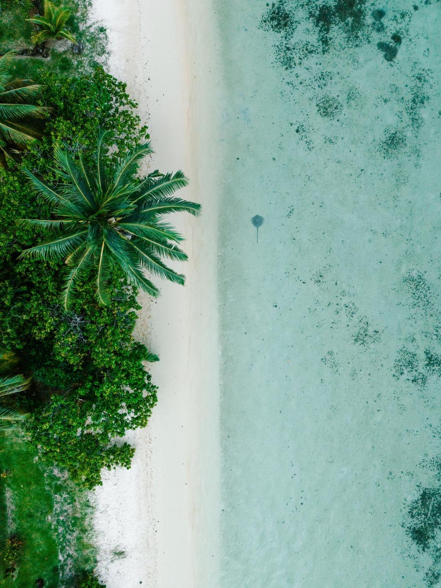 Niu Beach Hotel Moorea Dış mekan fotoğraf