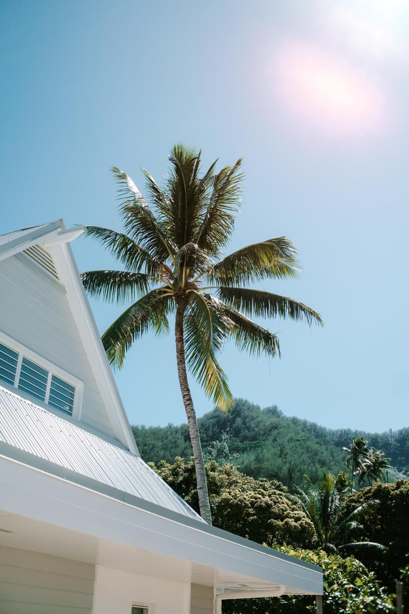 Niu Beach Hotel Moorea Dış mekan fotoğraf